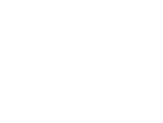 Airline Rewards
